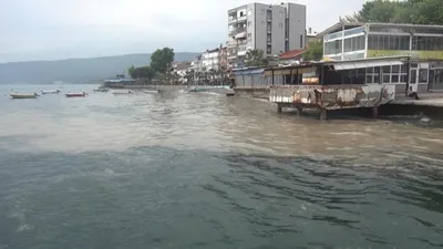 Yaz aylarının mide bulandıran kabusu denizlerimize geri döndü!