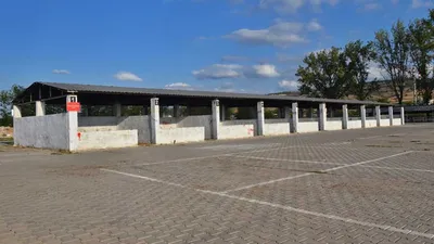 Kurban Bayramı öncesi şap alarmı: Hayvan pazarı kapatıldı