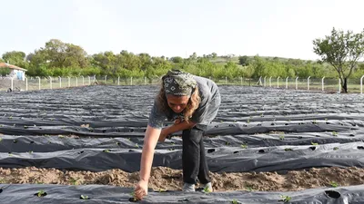 Pandemide şehirden kaçtı, memleketinde kendi işinin patronu oldu