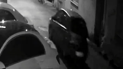 Hırsızlık suçu rekortmeni otomobil faresinden ''yuh'' dedirten savunma!
