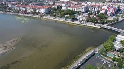 İstanbul'da denizin rengi değişti: Görenler endişelendi, uzmanlar nedenini açıkladı