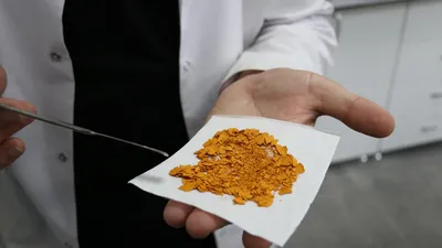 Türk bilim insanları mide kanserine çare buldu