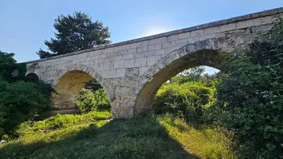 Bunlar tatilci, piknikçi değil, bunlar cennet katilleri! Tarihin içine ettiler!