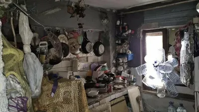Çöp evden 4 kamyon çöple birlikte çıkanlar kahretti: Kediler, kaplumbağalar...