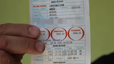Anne oğulun birlikte yaşadığı eve gelen fatura tutarı ''yok artık'' dedirtti