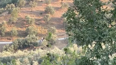Ekrem İmamoğlu'nun babasına ait arazide ne arandığı belli oldu!
