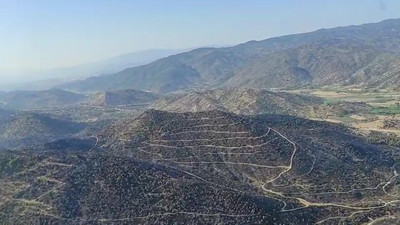Aydın'da büyük orman yangını: Alevlere gece boyunca müdahale edildi