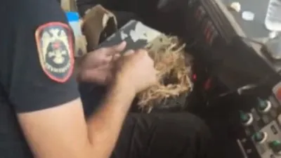 Hatay'daki orman yangınında tüm Türkiye'yi ağlatan görüntüler