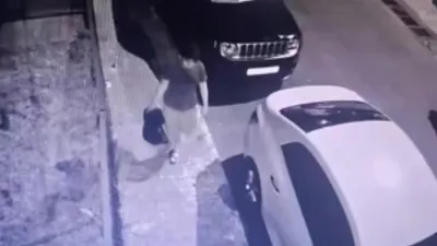 İstanbul'da aile boyu dehşet: Anne ve iki oğlu gözaltına alındı