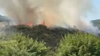 İstanbul'da Sultangazi Kent Ormanı'nda yangın
