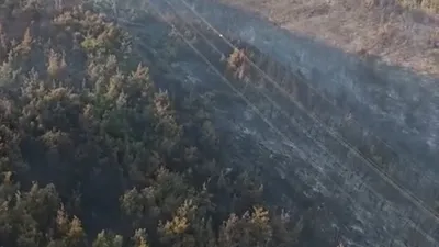 Manisa'daki orman yangını 2'nci gününde devam ediyor