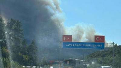 Suriye sınırında korkutan yangın