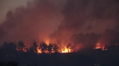 Çanakkale'deki orman yangını kontrol altında: 3 gözaltı var!