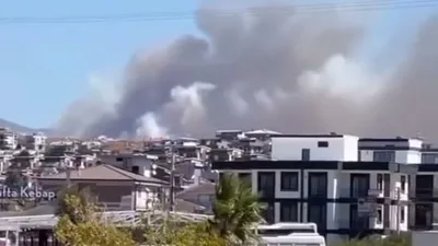 İzmir Seferihisar'da orman yangını