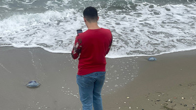 Marmara Denizi'ndeki endişe veren ölümler artıyor: Marmara'nın devleri ölüyor!