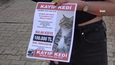 Kayıp ''Sakat'' aranıyor; bulana 100 bin TL ödül verilecek!