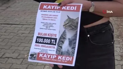 Kayıp ''Sakat'' aranıyor; bulana 100 bin TL ödül verilecek!