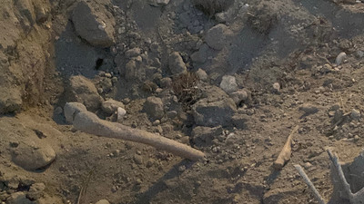 Belediyenin kazı çalışmasında korkunç manzara: Her yerden insan kemiği çıktı!