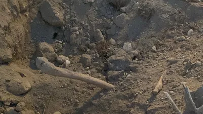 Belediyenin kazı çalışmasında korkunç manzara: Her yerden insan kemiği çıktı!