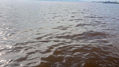 Denizin rengi kahverengiye döndü; kötü koku isyan ettirdi