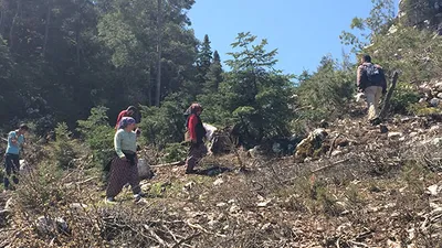 Mantar sezonu başladı