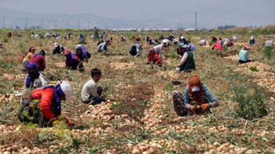 Mevsimlik işçilere alt yapı müjdesi