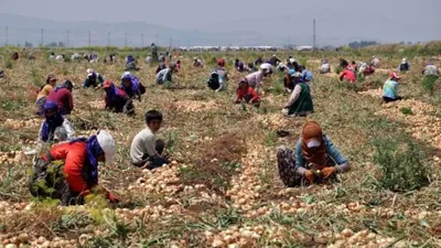 Mevsimlik işçilere alt yapı müjdesi