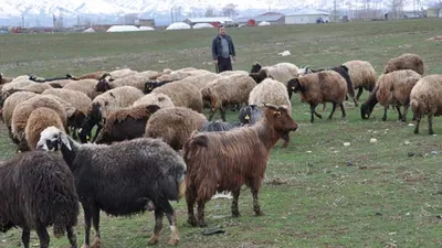 Maaşı 7 bin TL ama çalışan yok !