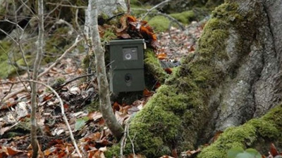 PKK'lı hainler fotokapana yakalandı