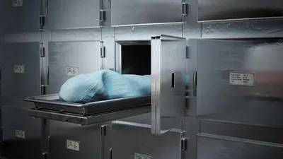 Morga kaldırılan ceset domuz leşi çıktı
