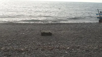 Mühimmat dolu sandık kıyıya vurdu
