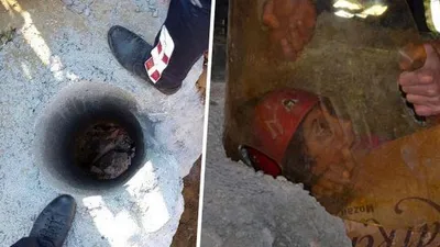 Çığlıklarını duyanlar koşup geldi !