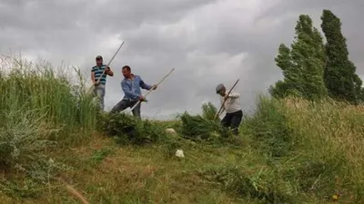 Bunu bilene 3 bin TL maaş