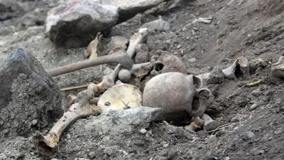 Boş arazide insan kemikleri bulundu
