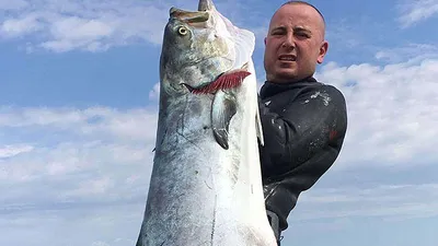 30 kiloluk Babalar Günü hediyesi