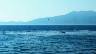 Çanakkale'de korkutan görüntü !