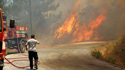 Alanya'da orman yangını çıktı