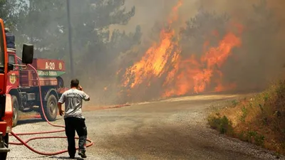 Alanya'da orman yangını çıktı
