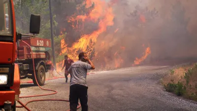 Alanya’da yine yangın çıktı