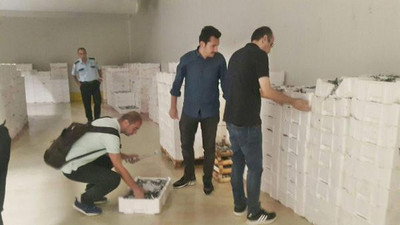 Ürküten tablo: 10 ton balığa el konuldu