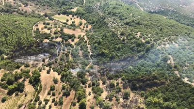 Antalya'da orman yangını