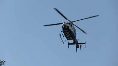 İstanbul'da Kurt Kapanı operasyonu