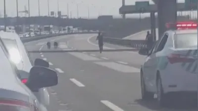 TEM'de ilginç olay ! Polis yolu kapattı...