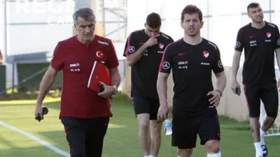 Emre Belözoğlu, A Milli forma ile dalya diyecek
