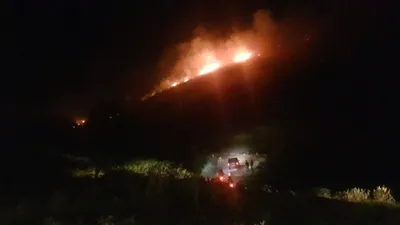 Aydın'da yangın alarmı ! Hızla yayılıyor