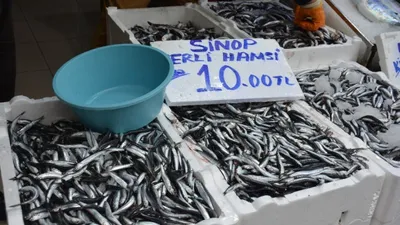 Palamuda elveda hamsiye merhaba! 30 liradan 10 liraya düştü