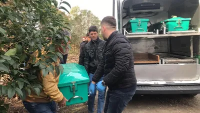 Mevsimlik işçinin sır ölümü