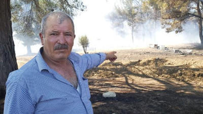 Çanakkale'de orman yangını: Arı kovanları kül oldu