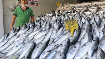 Palamudun fiyatı 10 liraya düştü