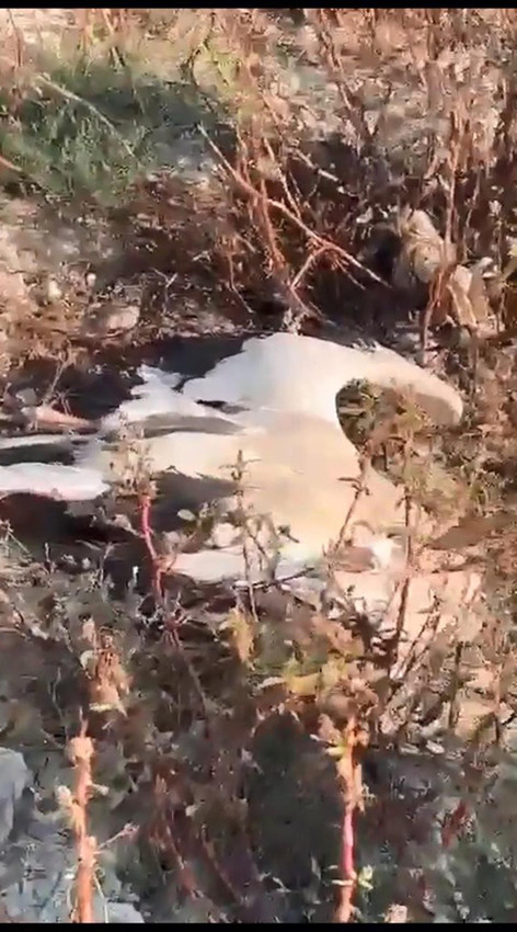 Yabancı uyruklu kaçak avcılar, göç yolundaki leylekleri vurdu - Resim: 4